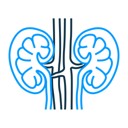 Nephrologie  Symbol