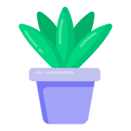 Aloe Vera Pflanze  Symbol