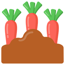 Plantación de zanahorias  Icono