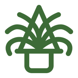 Spider Plant  Icon