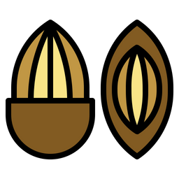 Almond  Icon