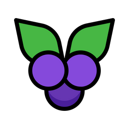 Blueberry  Icon