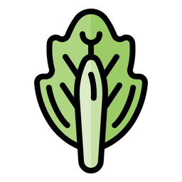 Cabbage  Icon