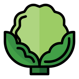 Cauliflower  Icon