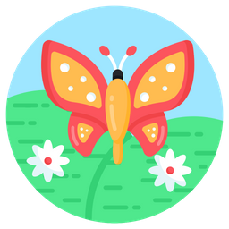 Butterfly  Icon