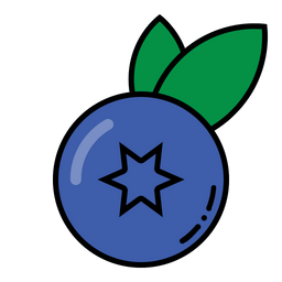 Blueberry  Icon