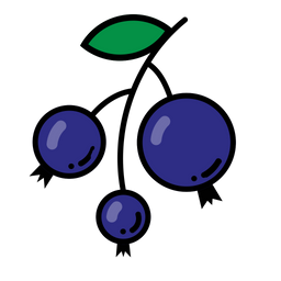 Blue Berry  Icon