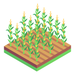 Corns Field  Icon