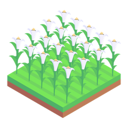 Arum Lily Fields  Icon