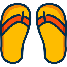 Flip Flops  Icon