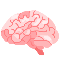 Brain  Icon