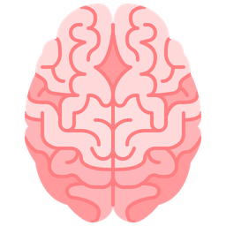 Brain  Icon