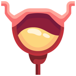 Bladder  Icon