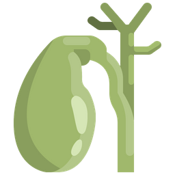 Gallbladder  Icon