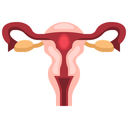 Female Reproductive System  Icon