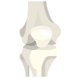 Knie  Symbol