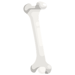 Bone  Icon