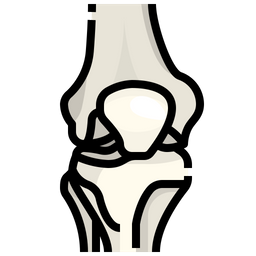 무릎  아이콘