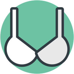 Bra  Icon