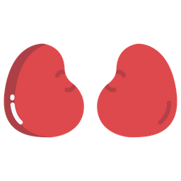 Kidney  Icon