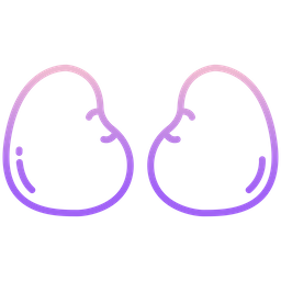 Kidney  Icon