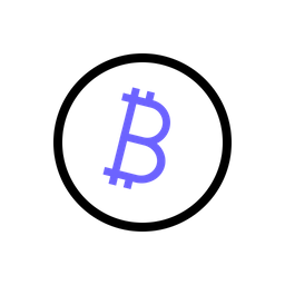 Crypto Digital Coin Icon
