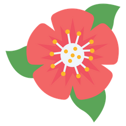 Flower  Icon