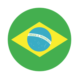 Brazil  Icon