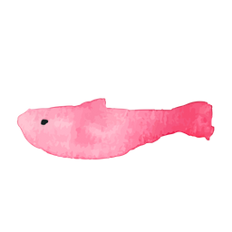 Fish  Icon