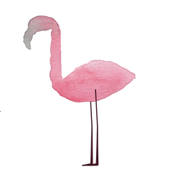 Flamingo Animal Bird Icon