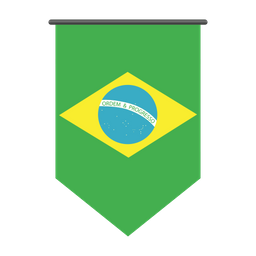 Brazil  Icon