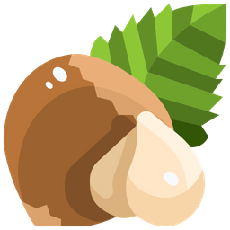 Hazelnut  Icon