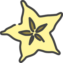 Carambola  Icon