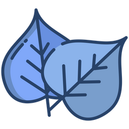 Bodhi Leaf  Icon