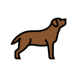 Labrador  Icon