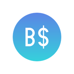 Brunei dollar  Icon