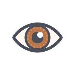 Eye  Icon