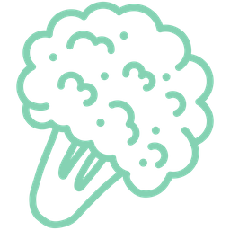 Broccoli  Icon