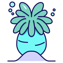 Anemone  Symbol