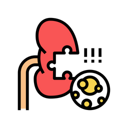 Kidney Stones  Icon