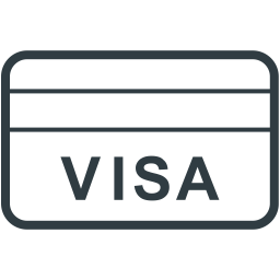 Visa Card Credit Icon