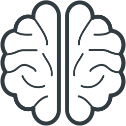 Brain  Icon