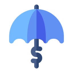 Fund protection  Icon