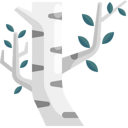 Birch Tree  Icon