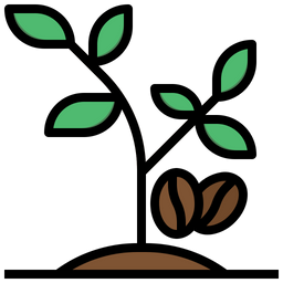 Coffee Plant  Icon