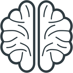 Brain  Icon