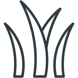 Aloe  Symbol