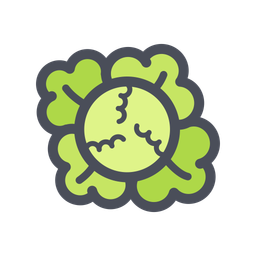 Cauliflower  Icon