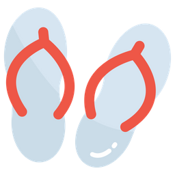 Flipflop  Icon