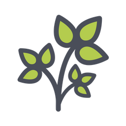 Annual Plant  Icon